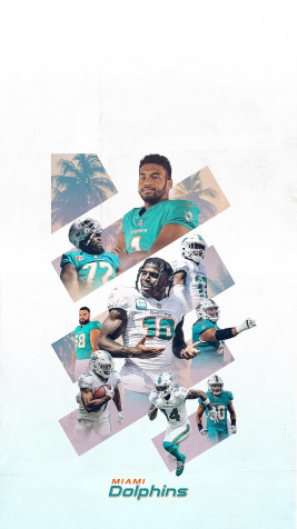 Miami Dolphins Phone Background Image 1440x2560px