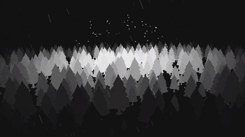 Dark Forest Full HD 1080p Wallpaper 1920x1080px