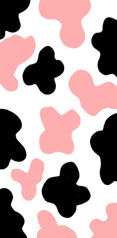 Cow Mobile Wallpaper 736x1487px