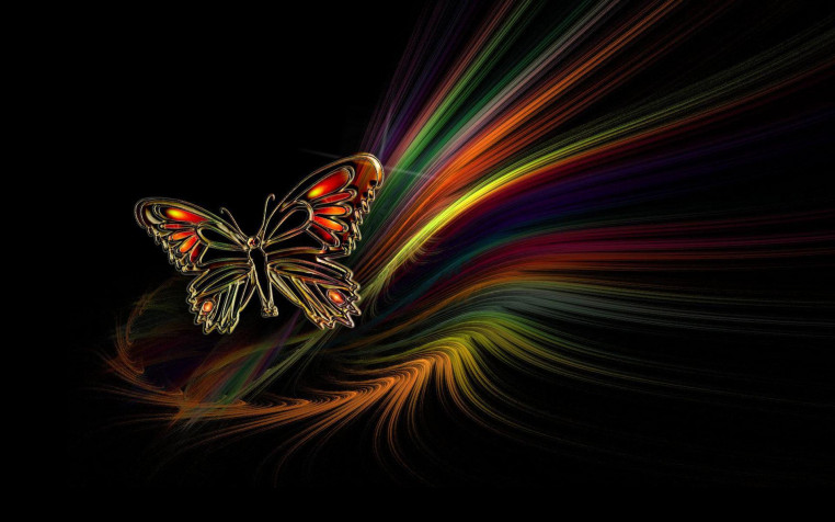 Butterflies Hd Widescreen HD Wallpaper 1920x1200px