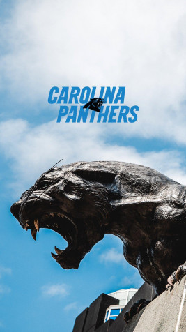 Carolina Panthers Phone Background 1080x1920px