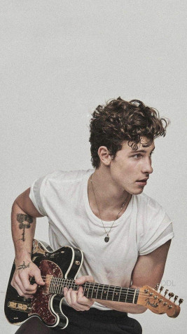 Shawn Mendes Wallpaper for iPhone 843x1500px