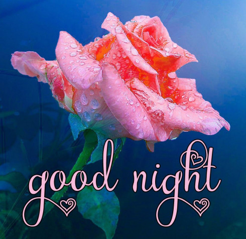 Good Night Images Desktop HD Wallpaper 1140x1107px