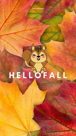 Fall Wallpaper for iPhone 1080x1920px