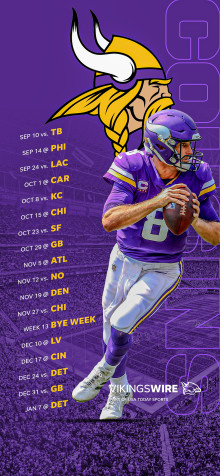 Minnesota Vikings iPhone 11 Pro Max Wallpaper 1242x2688px