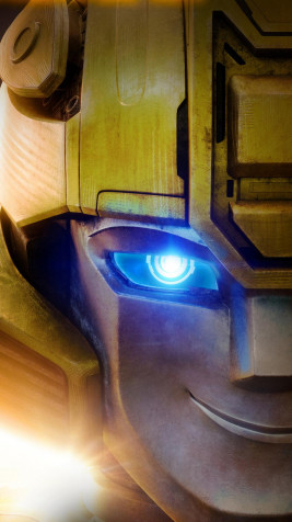 Bumblebee Mobile Wallpaper 1080x1920px