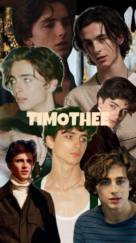 Timothee Chalamet iPhone Background Image 1080x1920px