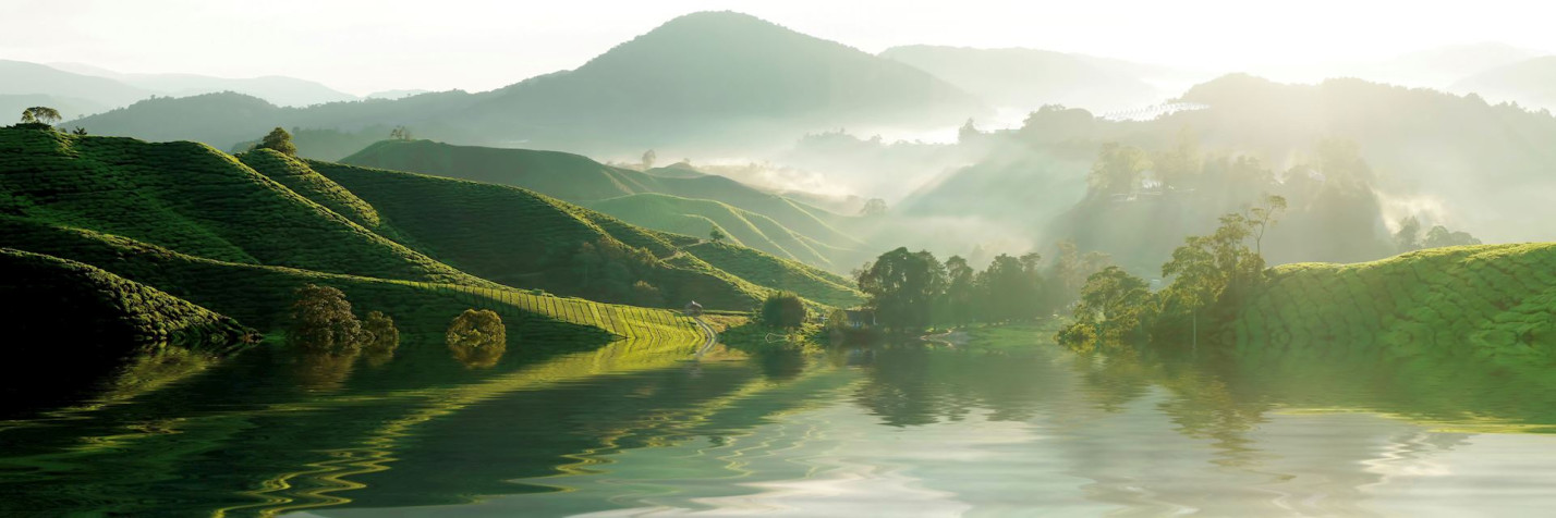 Cameron Highlands MacBook Background 1920x640px