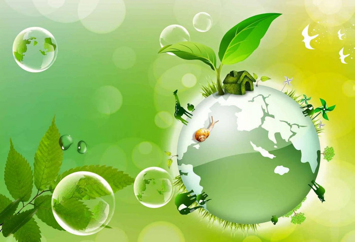 Earth Day Laptop Wallpaper 1920x1308px