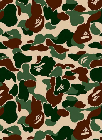 Bape Camo iPhone Wallpaper Image 1451x1991px