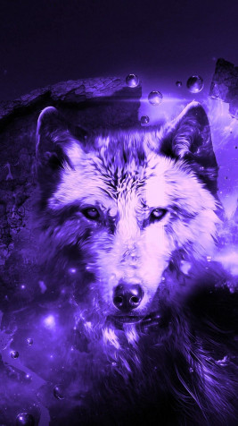 Wolf Wallpaper for iPhone 1024x1820px