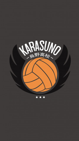 Karasuno iPhone Background 1080x1920px