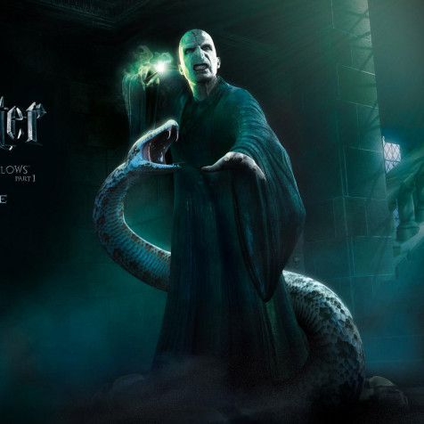 Lord Voldemort Phone Background Image 1024x1024px