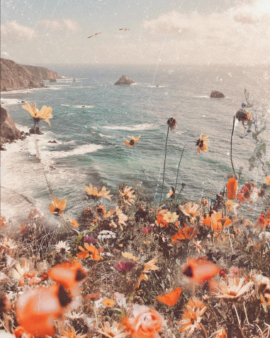 Aesthetic Summer Android Wallpaper Image 1080x1350px