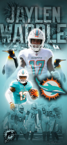 Miami Dolphins Phone Background Image 828x1792px