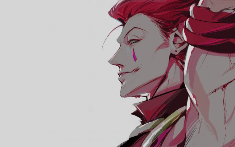 Hisoka Widescreen HD Wallpaper 1920x1200px