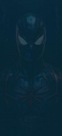 Spiderman iPhone Background Image 1183x2560px