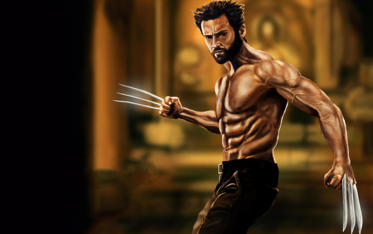 Wolverine Hd HD Background 3840x2412px