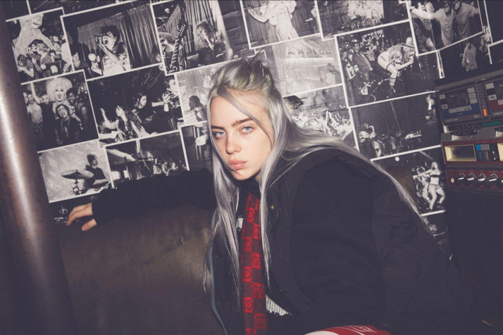 Billie Eilish Desktop Wallpaper 2048x1365px