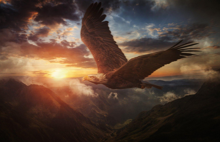  HD Wallpaper 1920x1239px