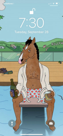 Bojack Horseman iPhone 11 Pro Max Wallpaper 1242x2688px