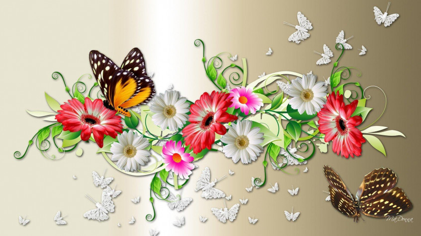 Butterflies Hd Full HD 1080p Wallpaper 1920x1080px