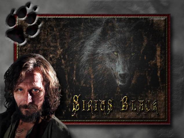 Sirius Black Desktop HD Wallpaper 1024x768px