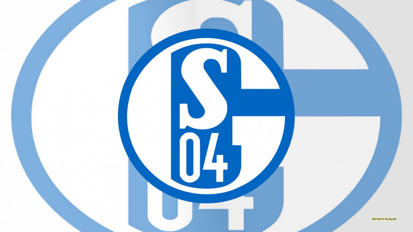 Fc Schalke 2k QHD Wallpaper 2560x1440px