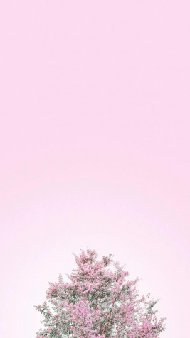 Solid Pink Mobile Background 1080x1920px