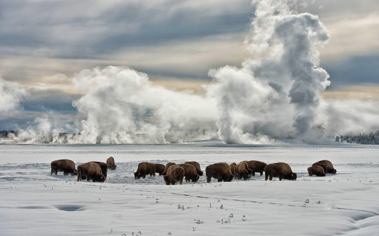 Yellowstone National Park Widescreen HD Wallpaper 1920x1200px