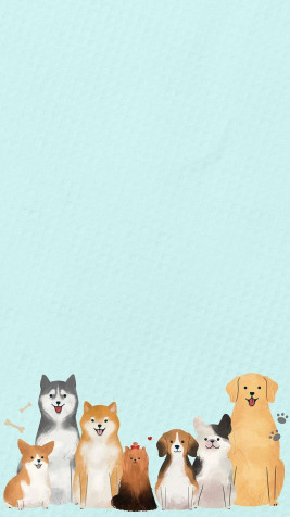 Dog Wallpaper for Mobile 800x1422px