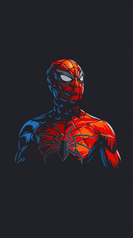 Spiderman Mobile Background 900x1600px