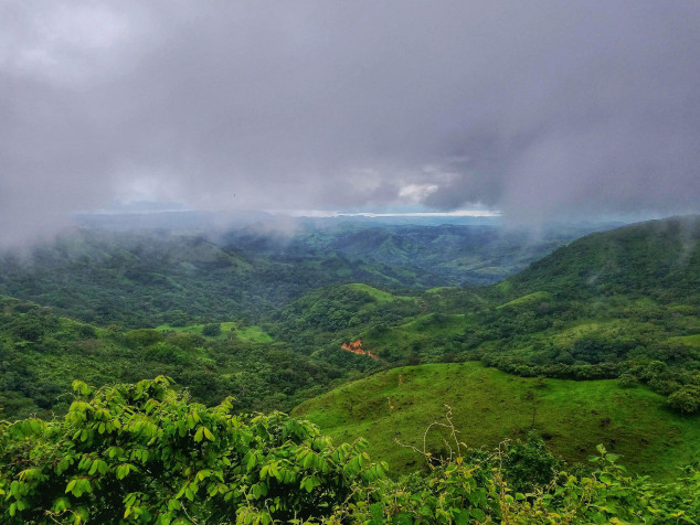 Monteverde Cloud Forest HD Background 4032x3024px