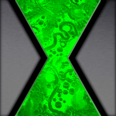 Omnitrix Phone Background 1080x1080px