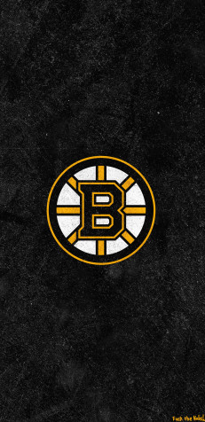 Boston Bruins Phone HD Background 1440x2960px