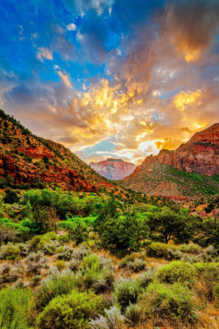 Zion National Park Phone Background 1333x2000px