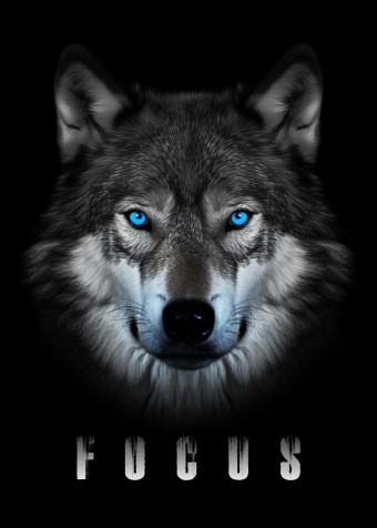 Wolf Hd Phone HD Background 929x1300px