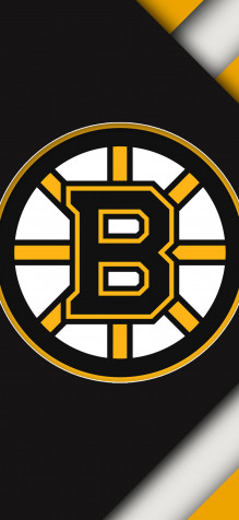 Boston Bruins iPhone 11 Pro Wallpaper 1125x2436px