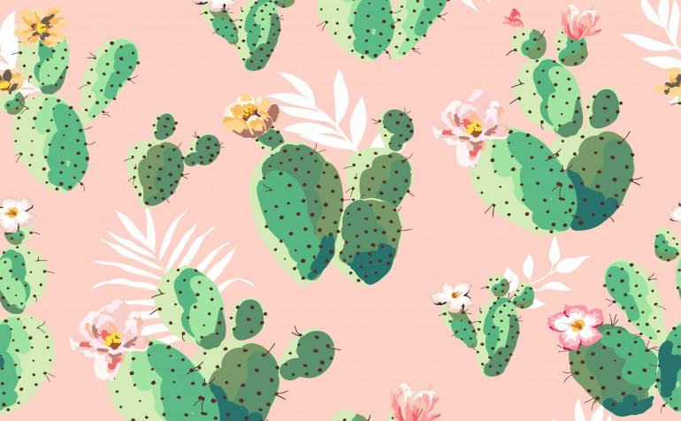 Cactus Laptop Background 3028x1872px