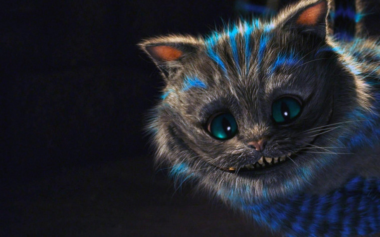 Cheshire Cat Widescreen HD Wallpaper 1920x1200px