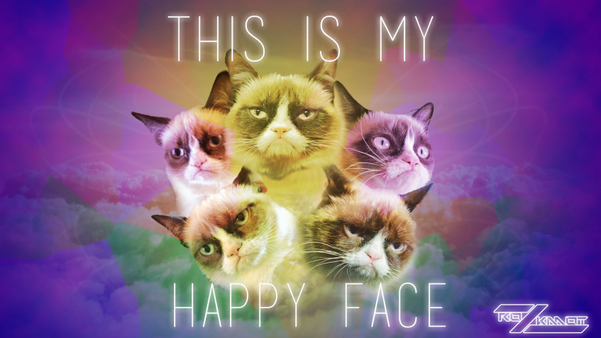 Grumpy Cat Full HD 1080p Wallpaper 1920x1080px