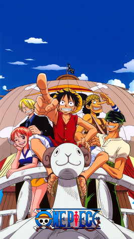 One Piece Android Wallpaper Image 900x1600px