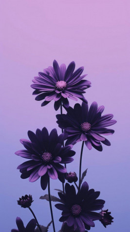 Purple Phone Background 800x1427px