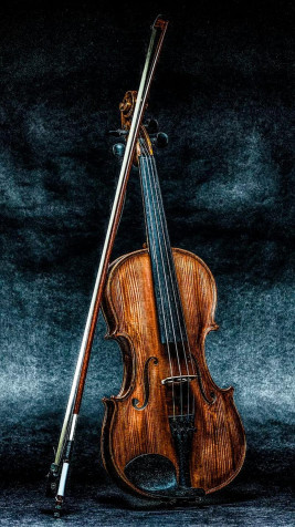 Violin Mobile Wallpaper 800x1422px