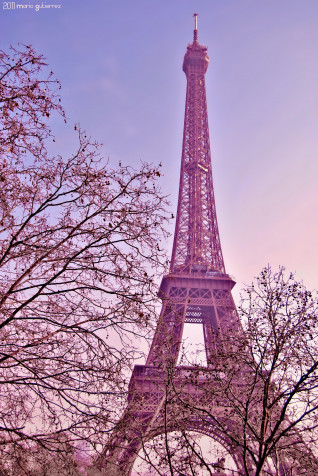 Eiffel Tower Phone HD Background 2538x3791px