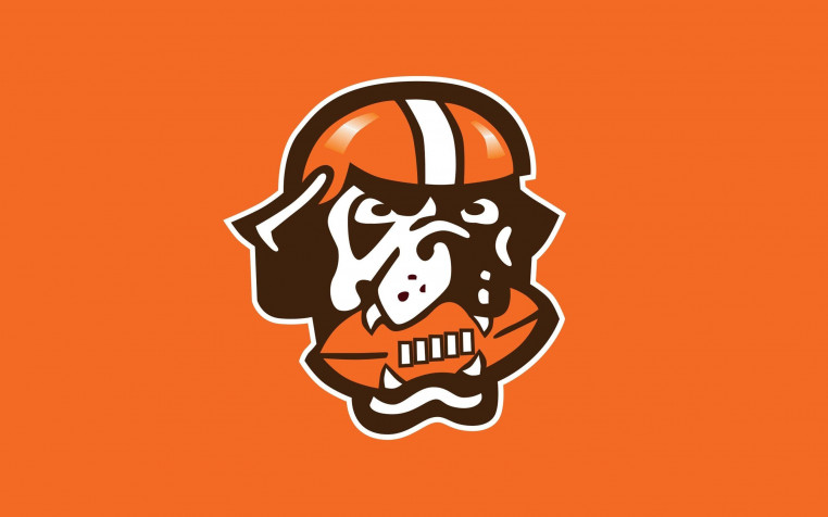 Cleveland Browns Logo HD Background 2560x1600px