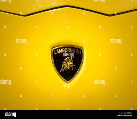 Lamborghini Logo Laptop Wallpaper 1300x1129px