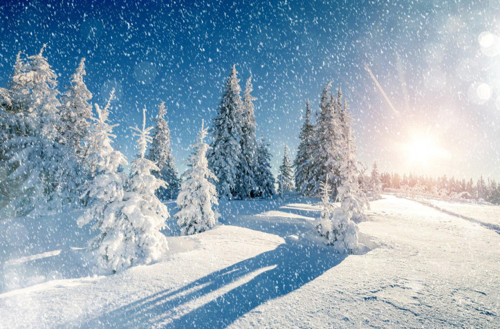 Winter Desktop Background 1920x1265px