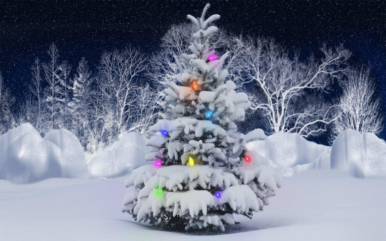 Christmas Tree Widescreen HD Wallpaper 1920x1200px