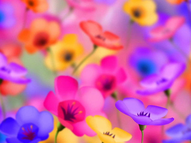 Floral Laptop Wallpaper 1600x1200px